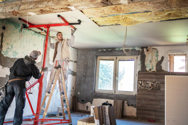 Best Cellulose Insulation in Springfield, OR
